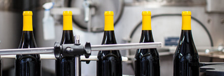 Procesamiento de bebidas, alimentos y productos Procesamiento de bebidas, alimentos y productos