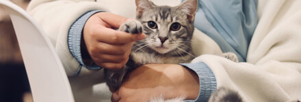Veterinarias Veterinarias